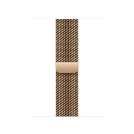 Cinturino Apple Loop in maglia milanese color oro 42mm